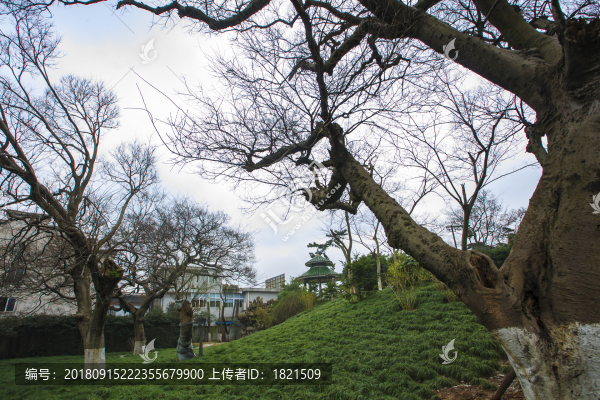 鎮(zhèn)海區(qū)