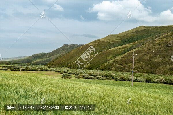 內(nèi)蒙古林西草原風(fēng)光