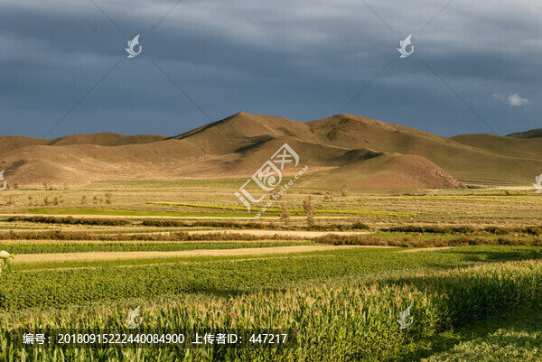 內(nèi)蒙古林西草原風(fēng)光