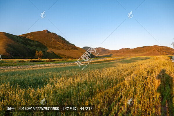 內(nèi)蒙古林西草原風(fēng)光