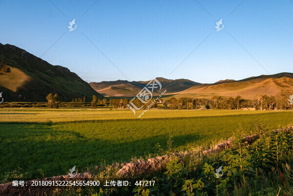 內(nèi)蒙古林西草原風光