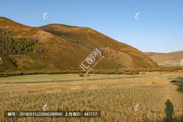 內(nèi)蒙古林西草原風(fēng)光
