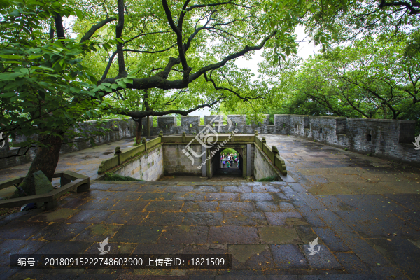 鎮(zhèn)海區(qū)