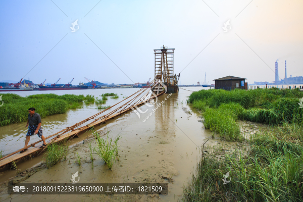 鎮(zhèn)海區(qū)