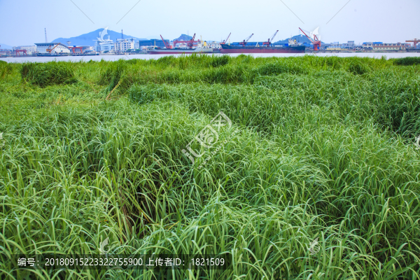 鎮(zhèn)海區(qū)