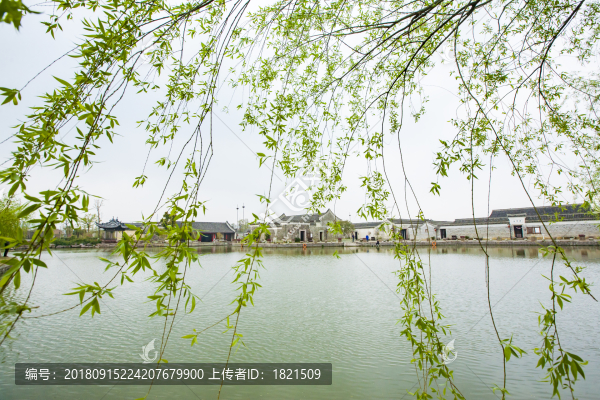 鎮(zhèn)海區(qū)
