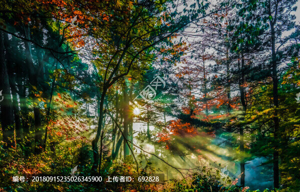 廬山秋