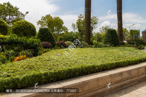 植物組合