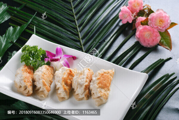 日式煎餃