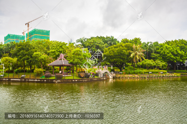 深圳中山公園