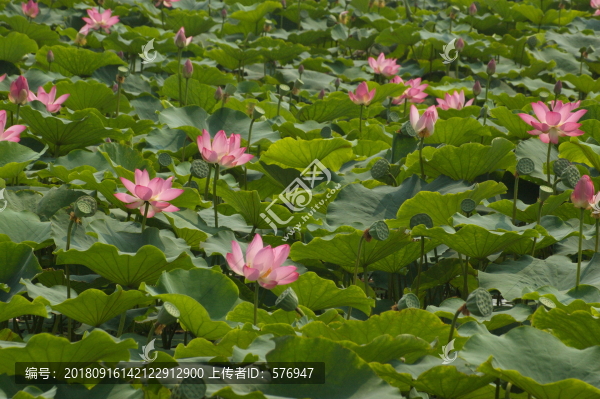 無框畫