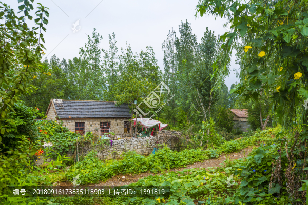 棗莊新農(nóng)村建設(shè)