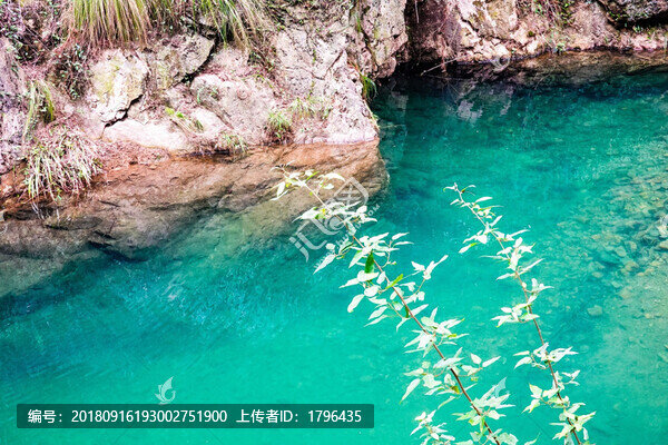 大奇山國家森林公園