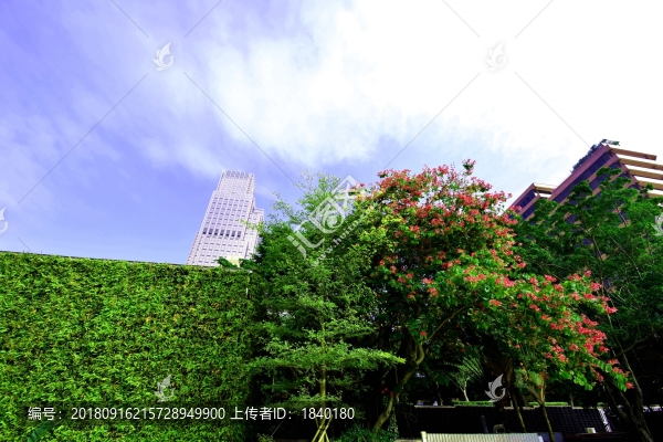 城市風景