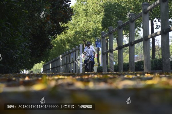 雨后小道