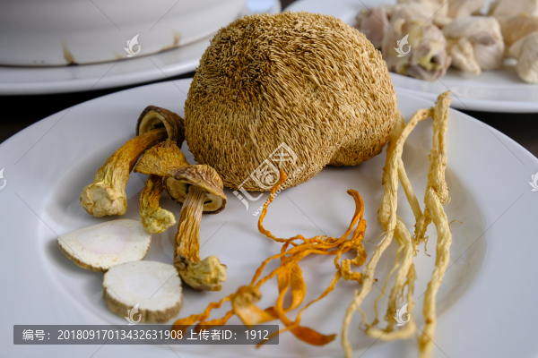 野生猴頭菇