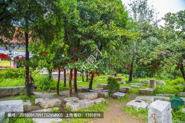 棗莊抱犢崮風景區(qū)