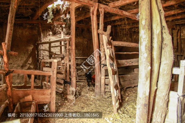 于田農(nóng)戶棚圈
