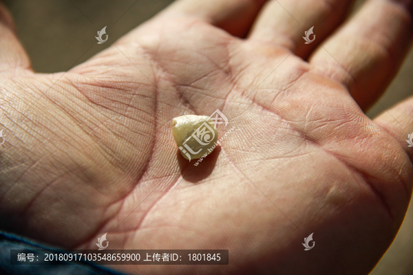 和田玉石
