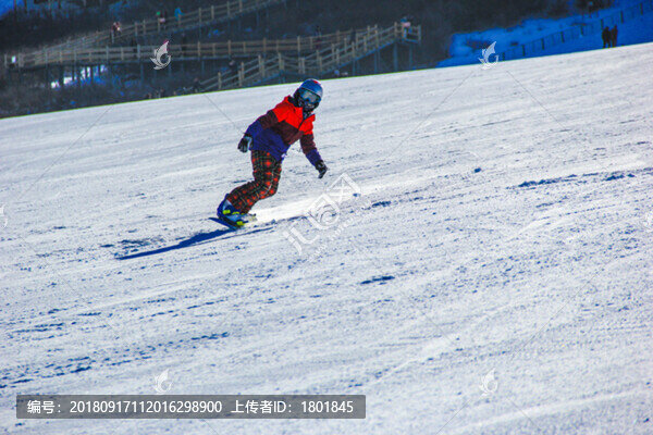 單板滑雪