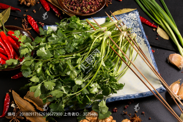 簽簽香菜