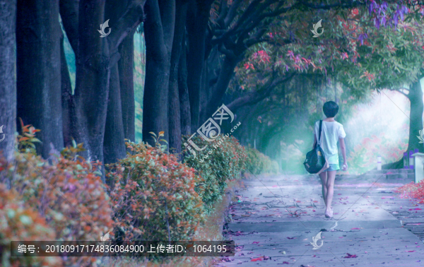 綠色校園