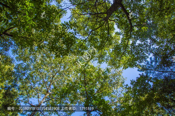 沂蒙山旅游區(qū)龜蒙景區(qū)
