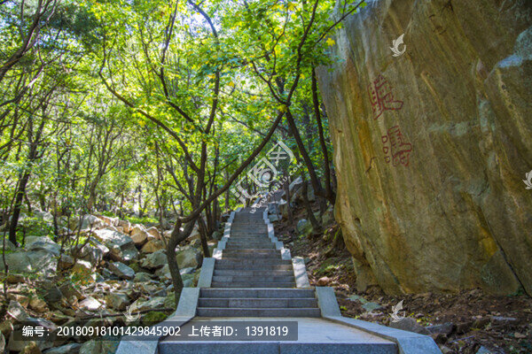 沂蒙山旅游區(qū)龜蒙景區(qū)
