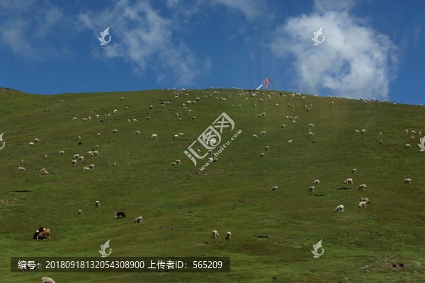 青海風景