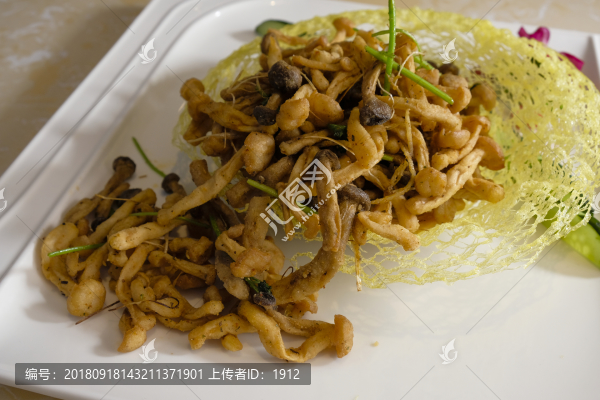 干煸茶樹(shù)菇