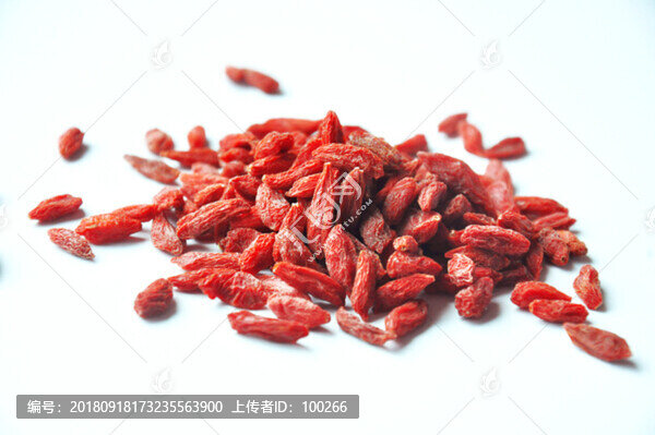 枸杞