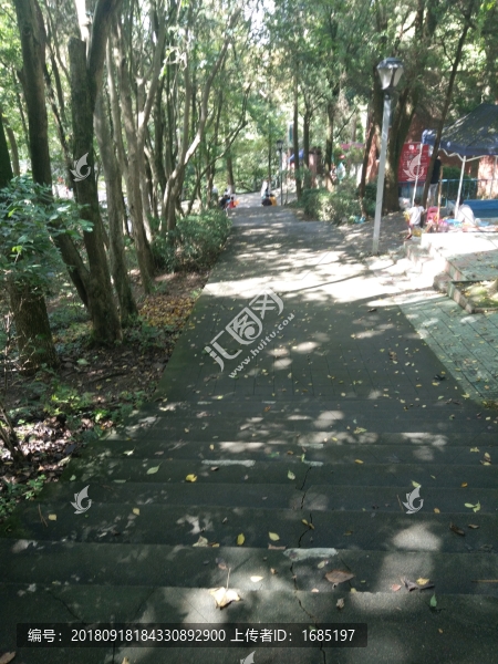 山間小道