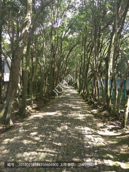 山間小道