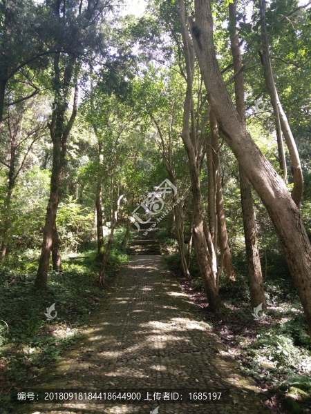 山間小道