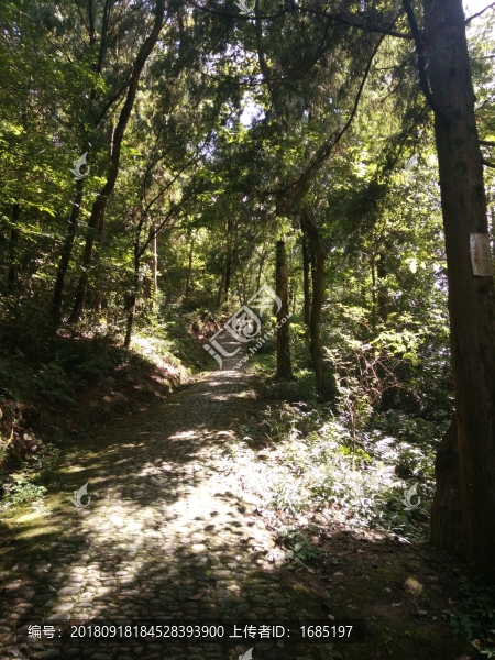 山間小道