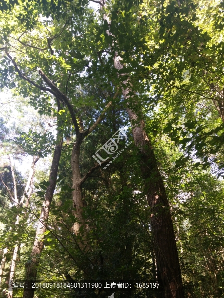 山間小道