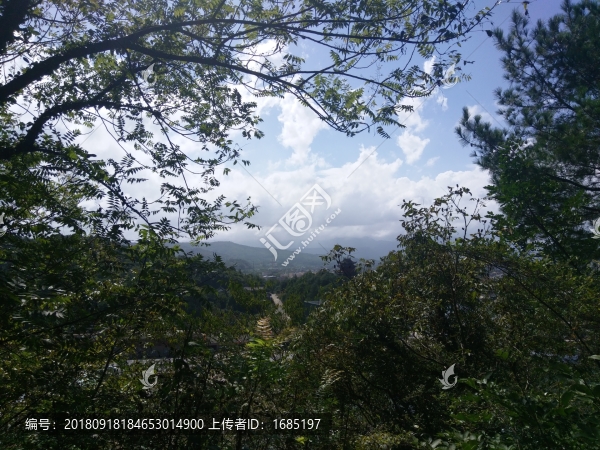 山間小道