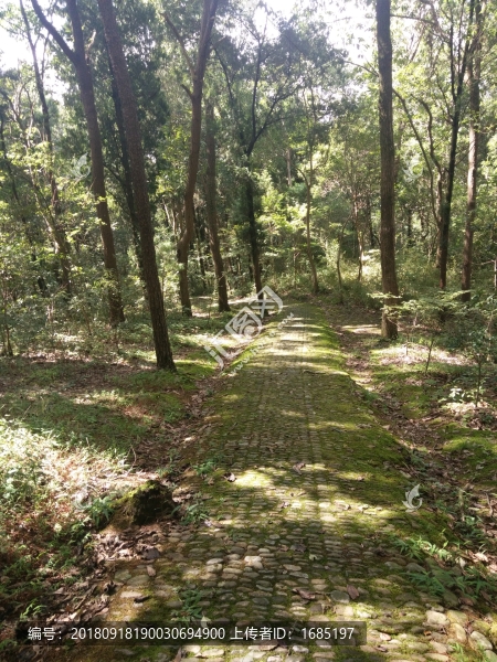 山間小道