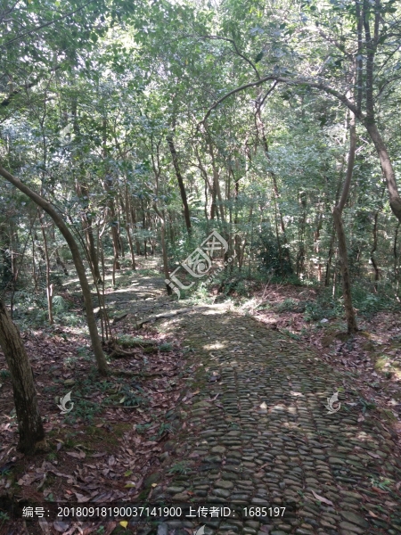 山間小道
