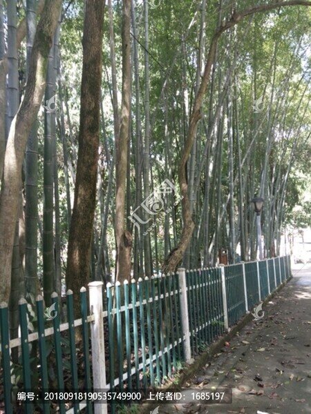 躍龍山風(fēng)光