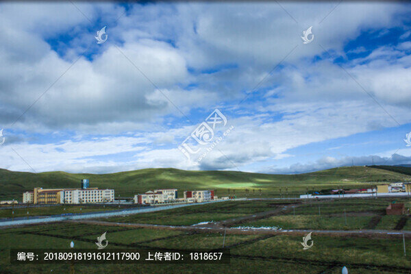 草原