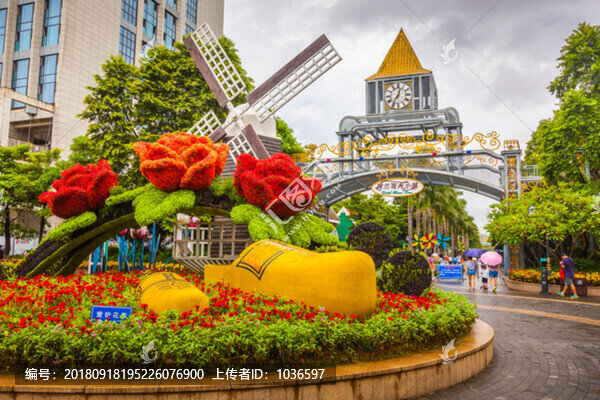 深圳荷蘭花卉小鎮(zhèn)花圃