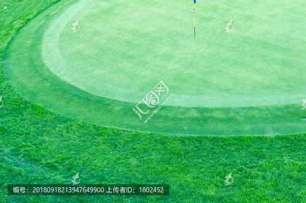 高爾夫球場草地