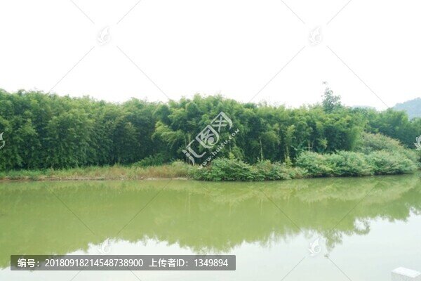 竹海