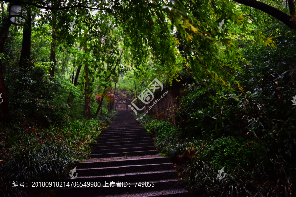 抱樸道院
