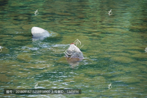 溪流