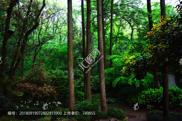 抱樸道院