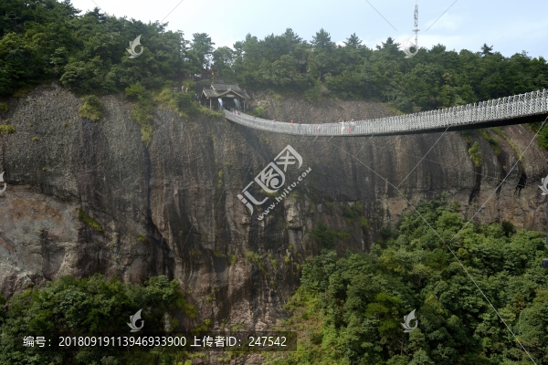 纜橋