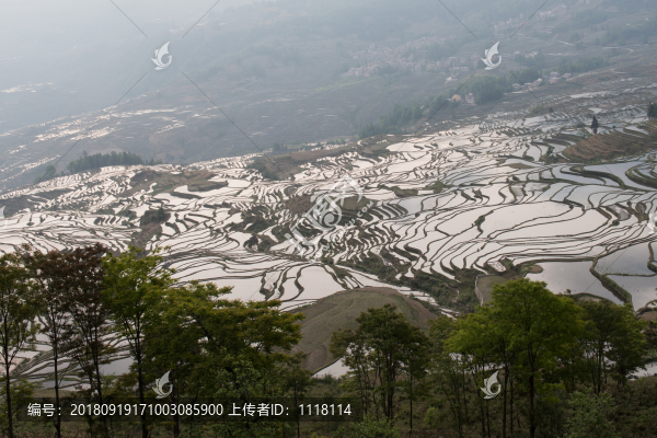 梯田