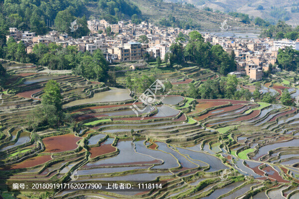 梯田